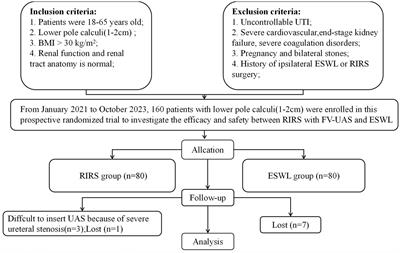 RIRS with FV-UAS vs. ESWL for the management of 1–2 cm lower pole renal calculi in obese patients: a prospective study